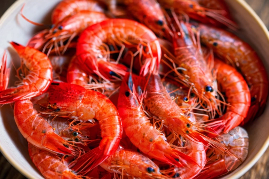 royal red shrimp